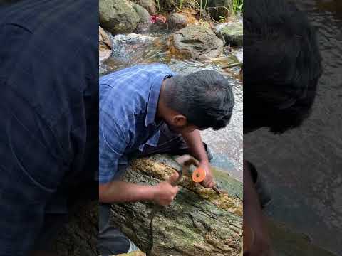 cracking rock marble layers | So Many marbles in This Rock