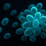 Hybrid Bioluminescent Yeast: The Next Gen Bioengineering Surge for 2025–2029 Revealed
